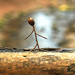 Tiefensteinklamm